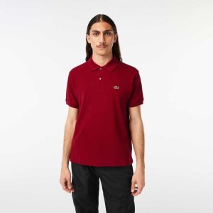 Lacoste Original L.12.12 petit pique cotton Bordo | CL9052674