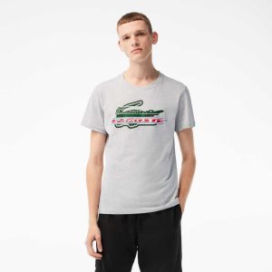 Lacoste SPORT Regular Fit Organic Pamuklu Gri | CH9163504